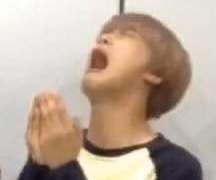 다이브 인 리얼리티