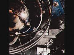 컬렌 L. 블루벨 | 래번클로 | 순혈 | XY