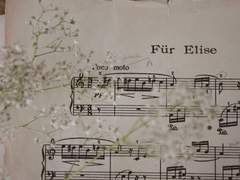 재미에 따분함과 멍청함을 더하면.