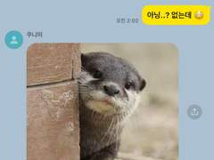 제 여친은 수달입니다🦦ver. 쿠니미 아키라