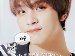사고뭉치 아기 호랑이🐯 B
