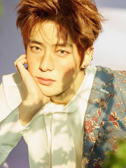 [정재현] Q. 아모텐시아 해독법 (내공 100 급해요)