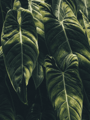 혼마루 문화생활 24시