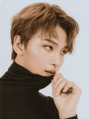 용의자 x의 헌신