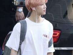 [나재민] 백조가 동경한 오리