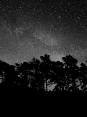 츠루네 2차 단편