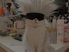 [8월 14일 확인] 예스24 예사 아이디 옮기기 아옮 방법 (자세한 설명 O)