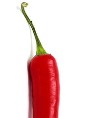 참을 수 없는 매운 맛