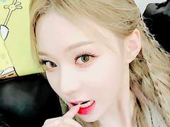 포토피아 수치 다섯 개+정보 공유