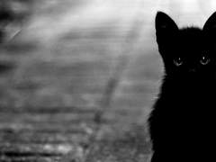 목 안 마르세요?