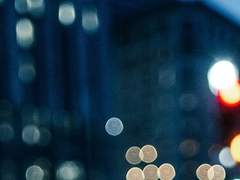 천재가 죽어가는 법