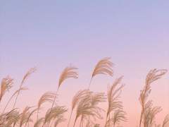 마음은 가을 하늘빛