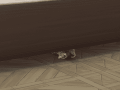 인어 세실의 유명인 생활 1