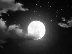 너희의 웃음이 청춘이 될 아이들.