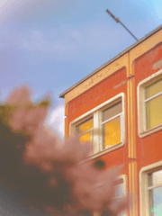 사립! 개화여고