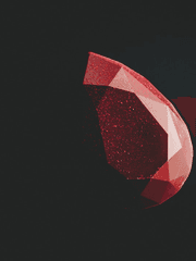 레이리츠 단편 모음