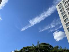 [ 새벽편지 ] Ep.1 미래의 벽이 큰 너에게