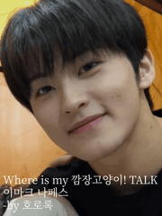 Where is my 깜장고양이! TALK