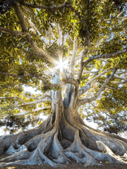생각날때 적는 로판 단편 소설