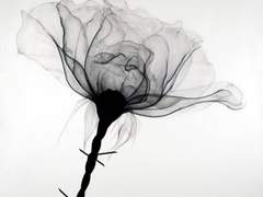 필연적으로 엮일 수 있도록