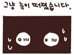 나의 영원한 섬섬옥수