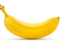 바나나는 베리류다?