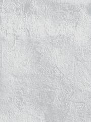 #캐릭터 프로필