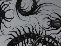 いつわり むかで