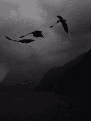 그 드래곤이 인간을 사랑하게 된 건에 대하여