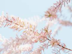 우아하게 피어나는 꽃처럼