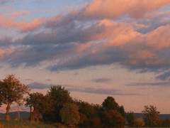 네가 그저 쉬었으면 하는 나의 핑계