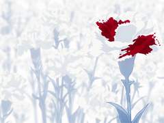 화산귀환 드림/현생미련 내성필성