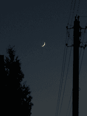 자캐 커미션 자료