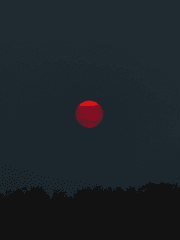 [ 화산귀환 ] 청명른 모음