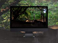 1-3. greenery with sunshine 배경화면