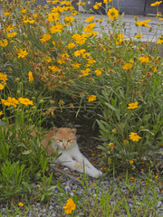 내가 자취를 시작한 이유