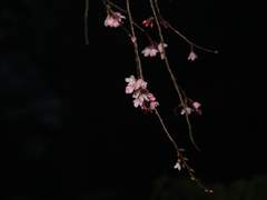 도회:韜晦 - 7화