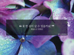 [동오대만] “꽃 한 송이 살 수 있을까요?” 02