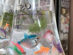 喜歡你 가사 해석/번역