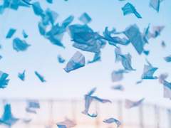 💖 진심을 전하는 꿈