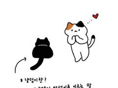 냥덩이