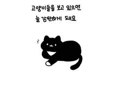 반짝반짝한 이유