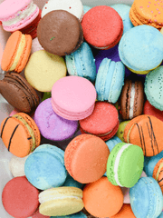 난나니뇨(테스트용)