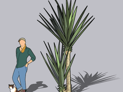 [TIP] ﻿스케치업 식물 그림자 쉽게 적용하기