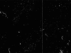 최고의 예지를 지닌, 나의 낙원에 닿기를