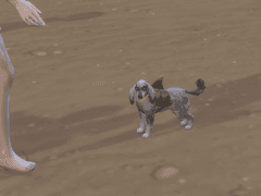 인어 세실의 유명인 생활3