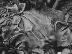 아름답지만 잔혹한, 버림받은 천사