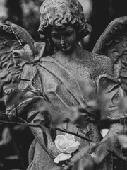 아름답지만 잔혹한, 버림받은 천사