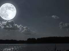 너와 포켓몬은 유대로 이루어져 있을까?