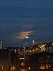 웰컴 투 방탄고